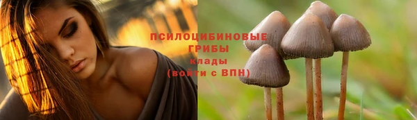 mdma Лиски